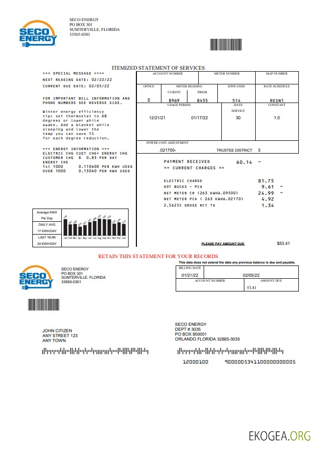 USA Florida Seco Energy utility bill template in Word and PDF format